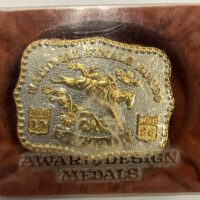 1986 Hesston NFR Gold/Silver Youth Buckle