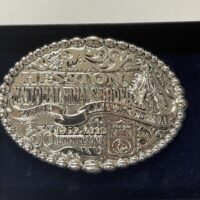 2008 Hesston NFR Adult Gold Buckle