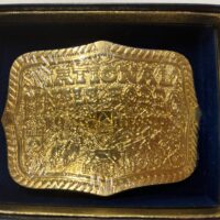 1999 Hesston NFR Gold Adult Buckle