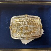 1999 Hesston NFR Gold/Silver Youth buckle
